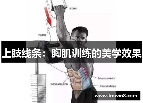 上肢线条：胸肌训练的美学效果