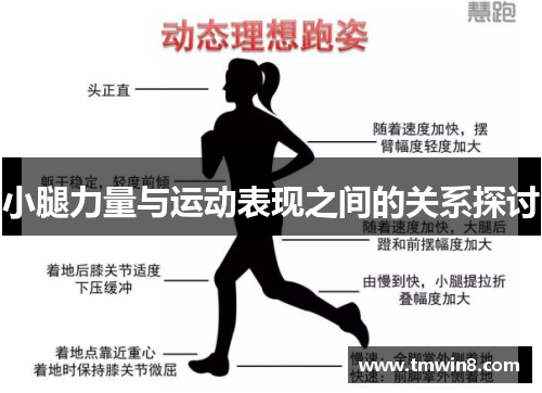 小腿力量与运动表现之间的关系探讨
